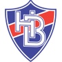 斯基夫