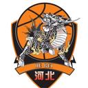 山东蜜獾
